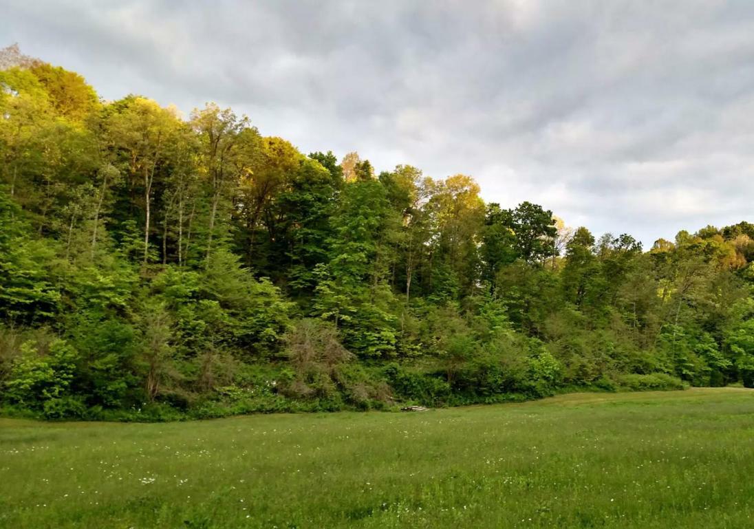 Altenbrauch Farm - Camping In The Hocking Hills Stella Exterior photo